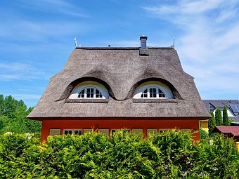 Blick über die Hecke